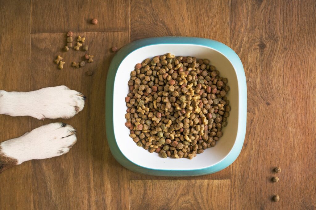 Dry food for dogs
