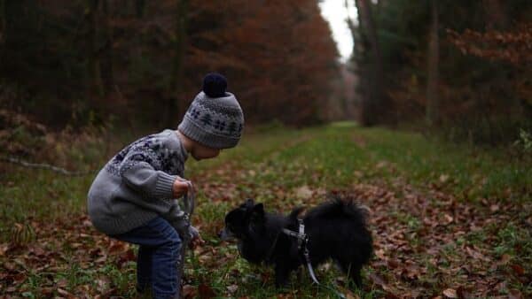 Child taking a dog for walk