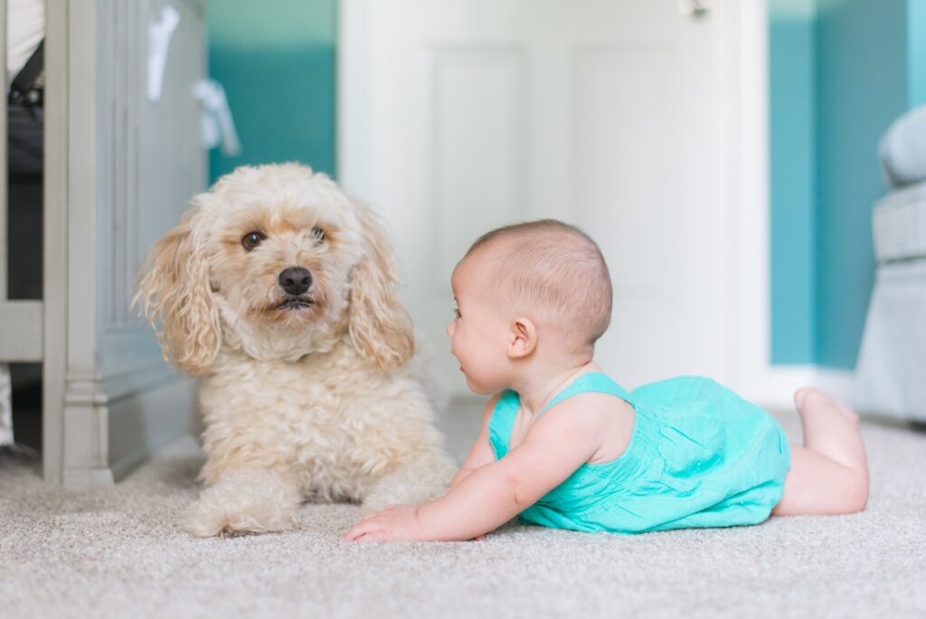 How kids should interact with dogs