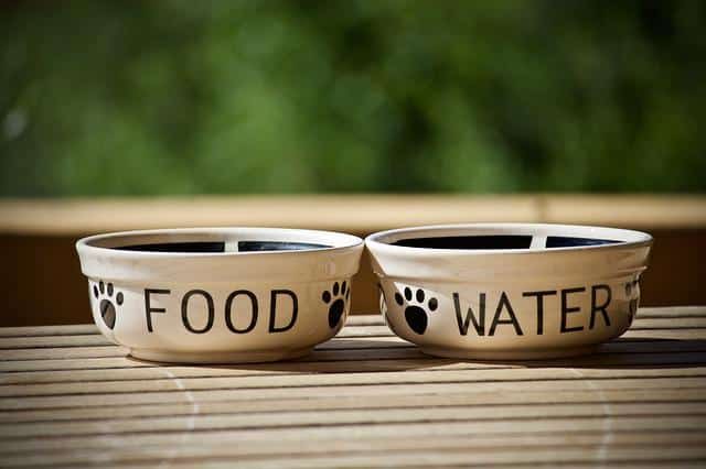 Dog Food and Water Supplies