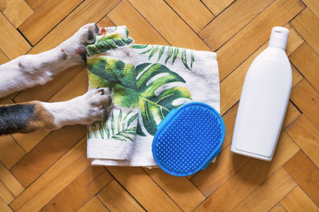 Dog shampoo, brush and towel
